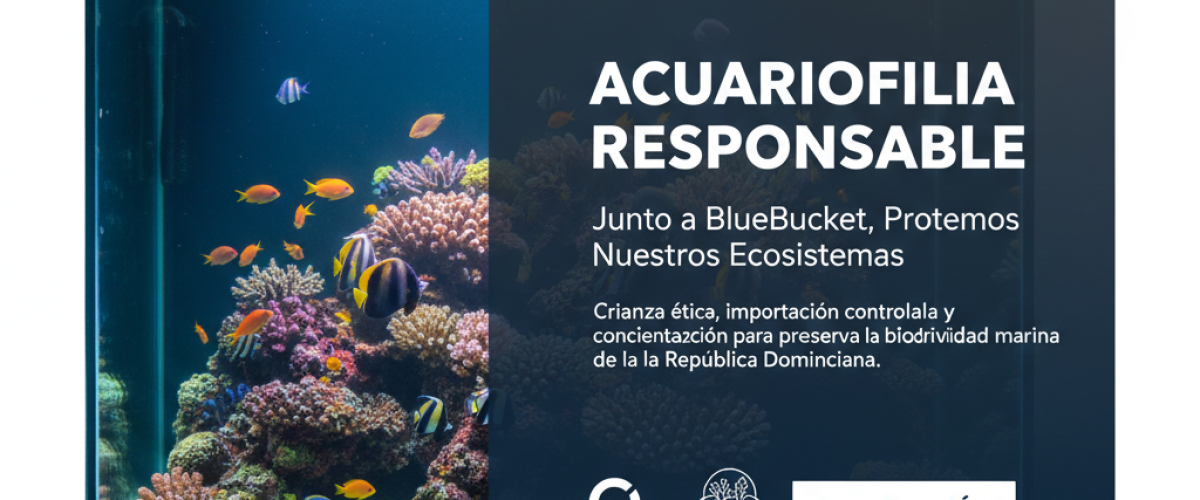 acuarofilia responsable domincanreef